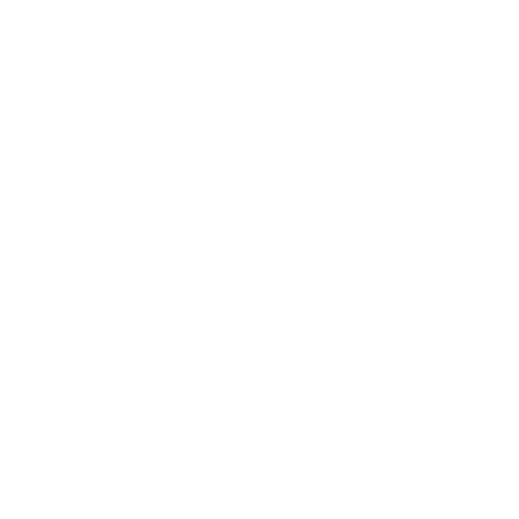 CLUB AMERICA