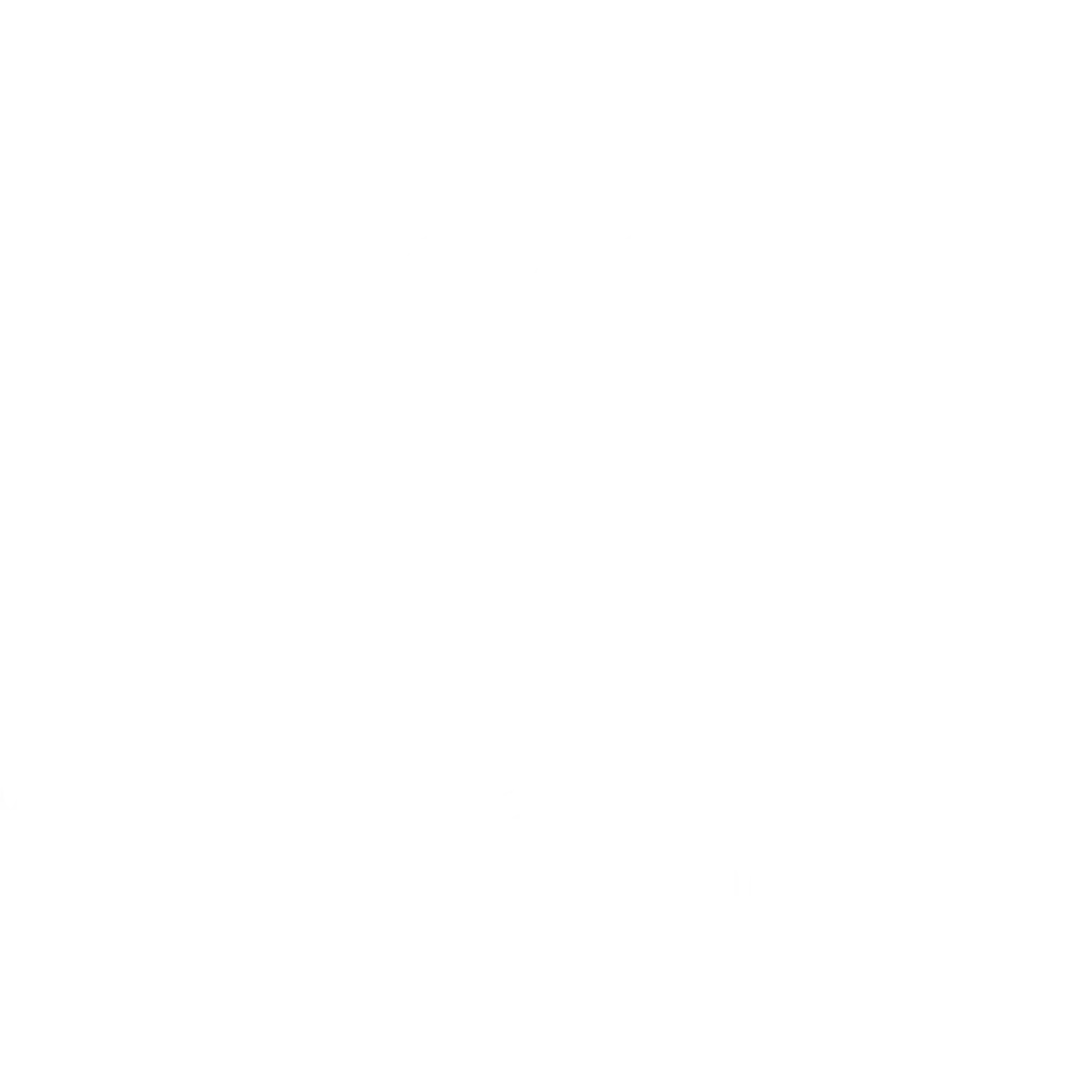 Royal Air Maroc