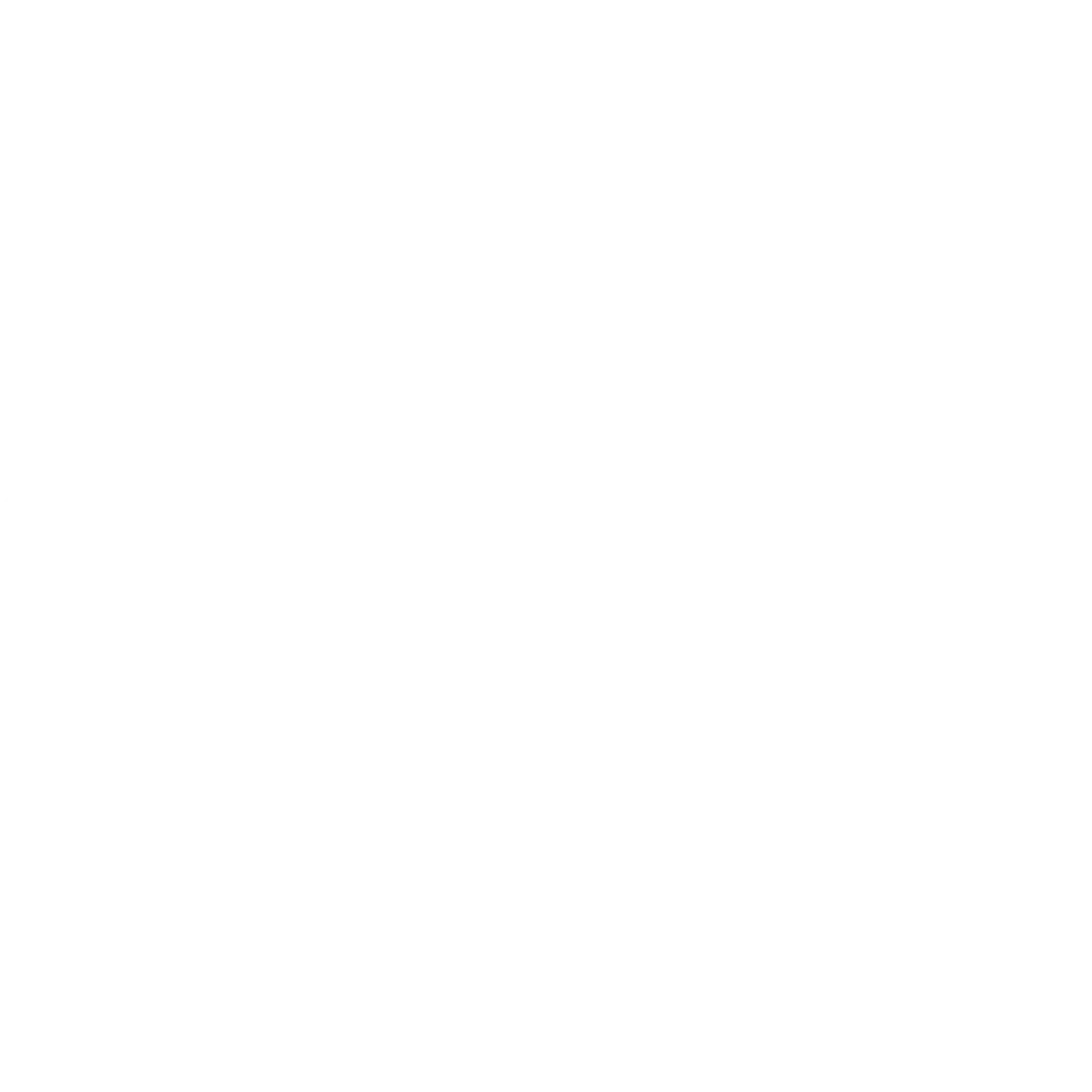 Sportian Carrusel Partners
