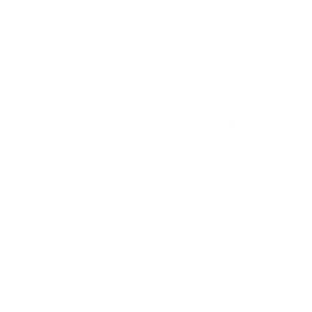Turkish Airlines