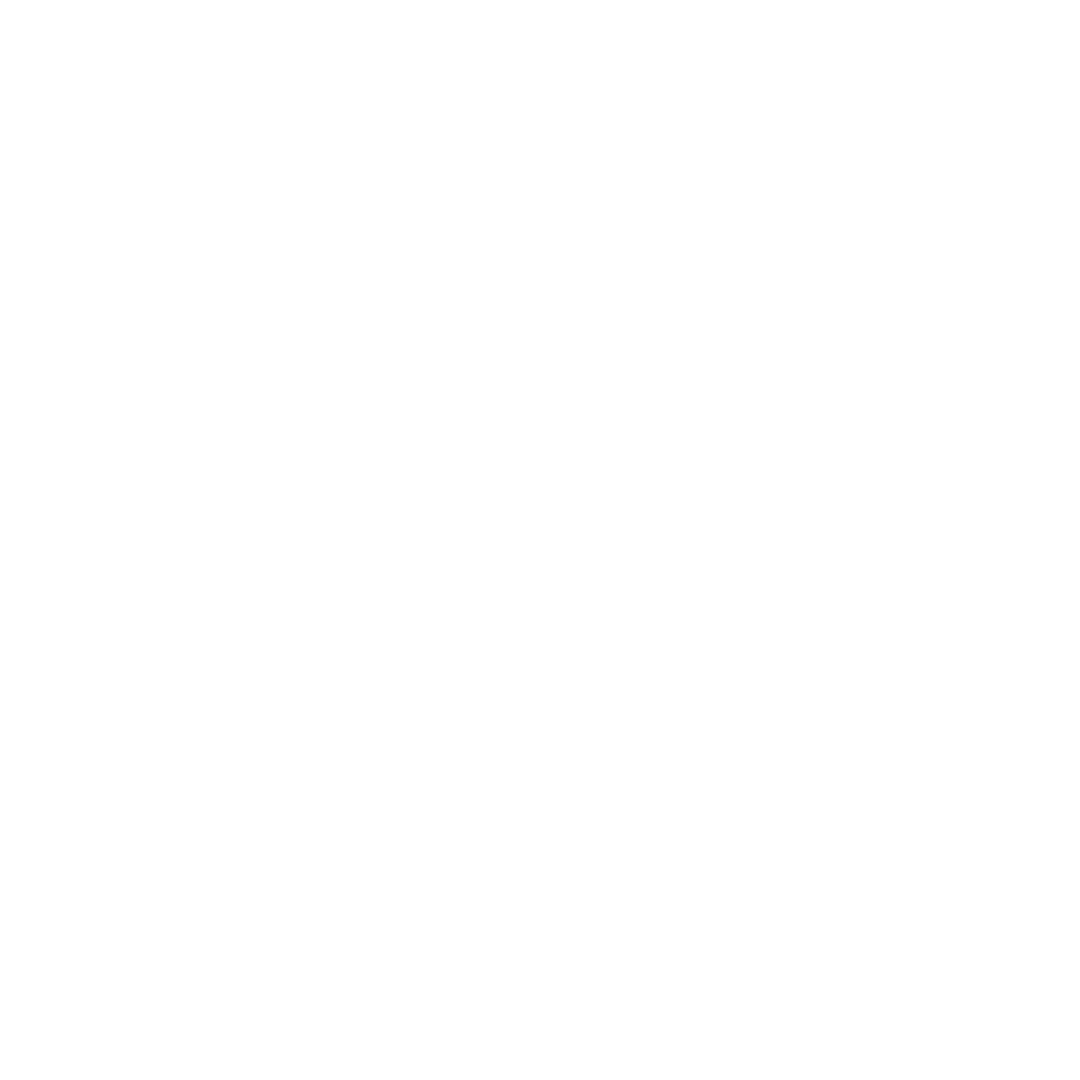 Logo Veo