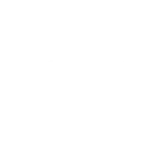 VEO