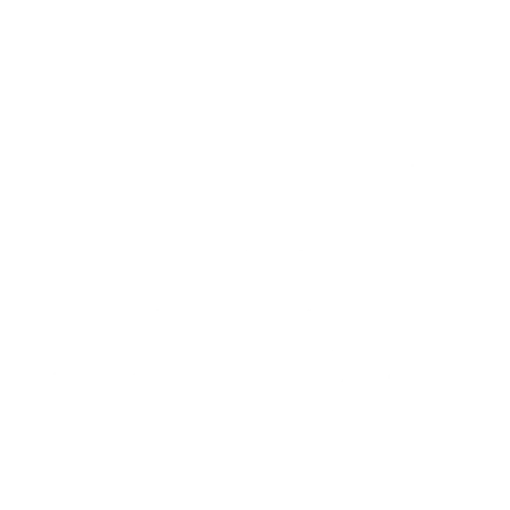 Speaker Radio UDEM