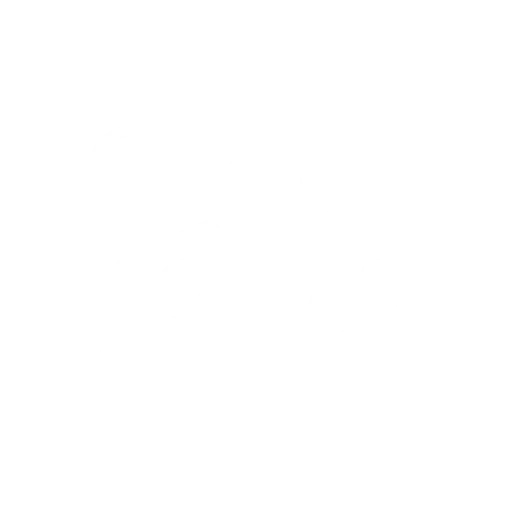 borras