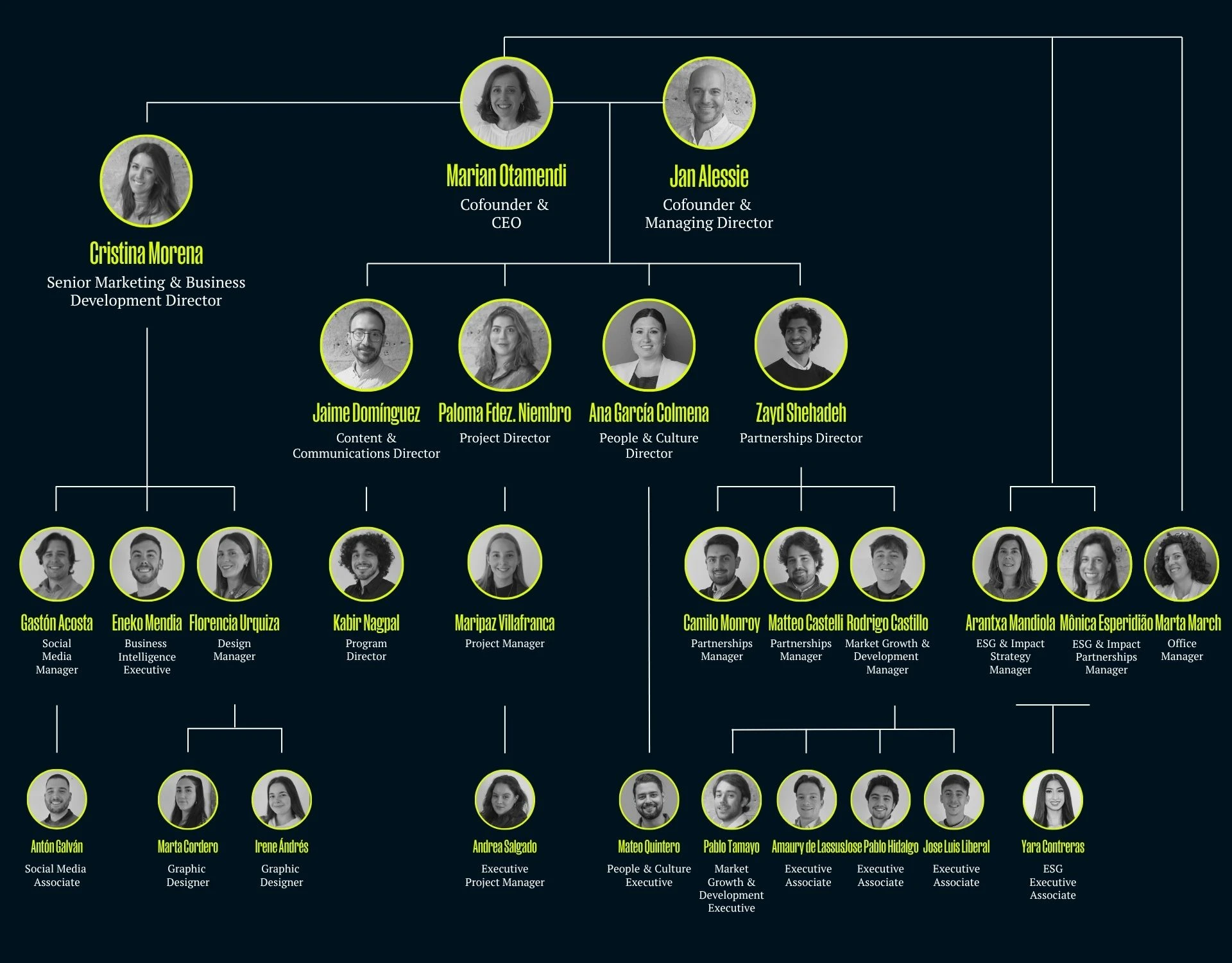 organigrama