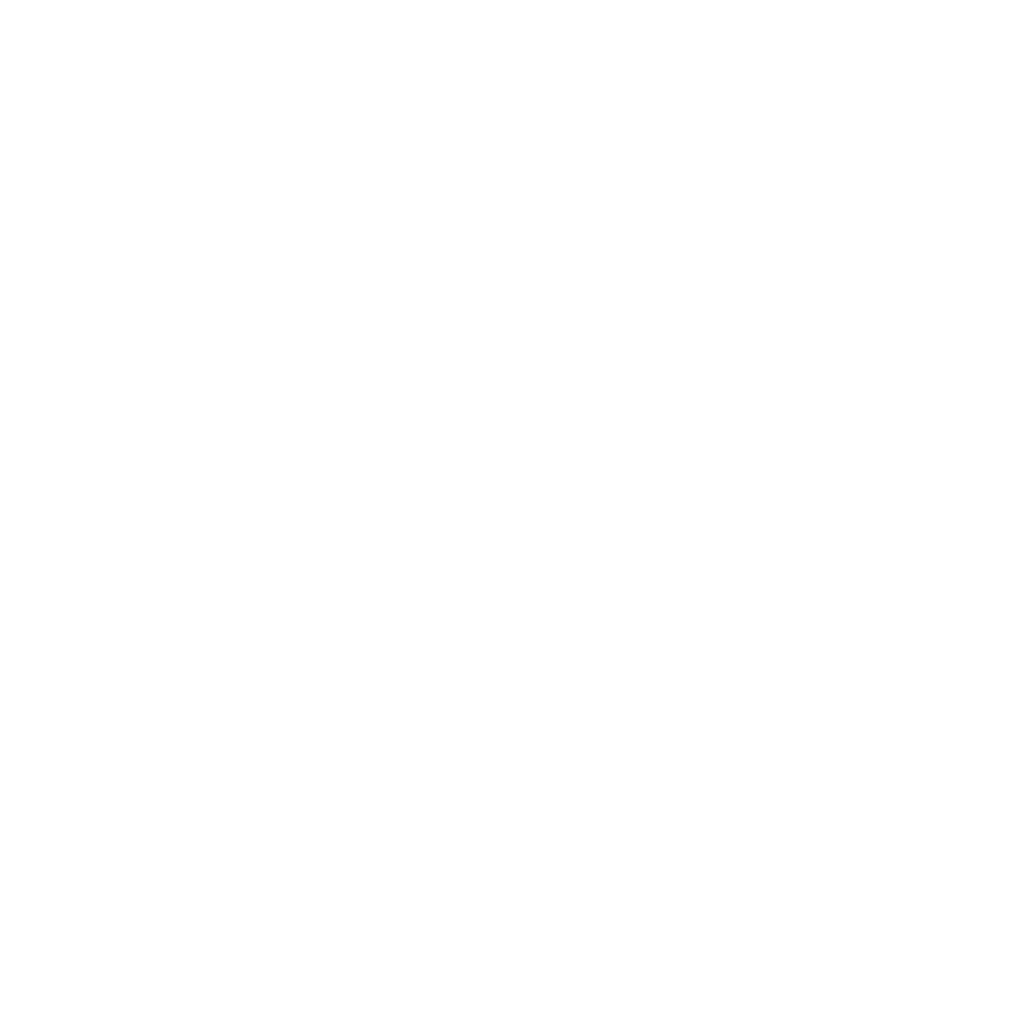 EFE Carrusel Media