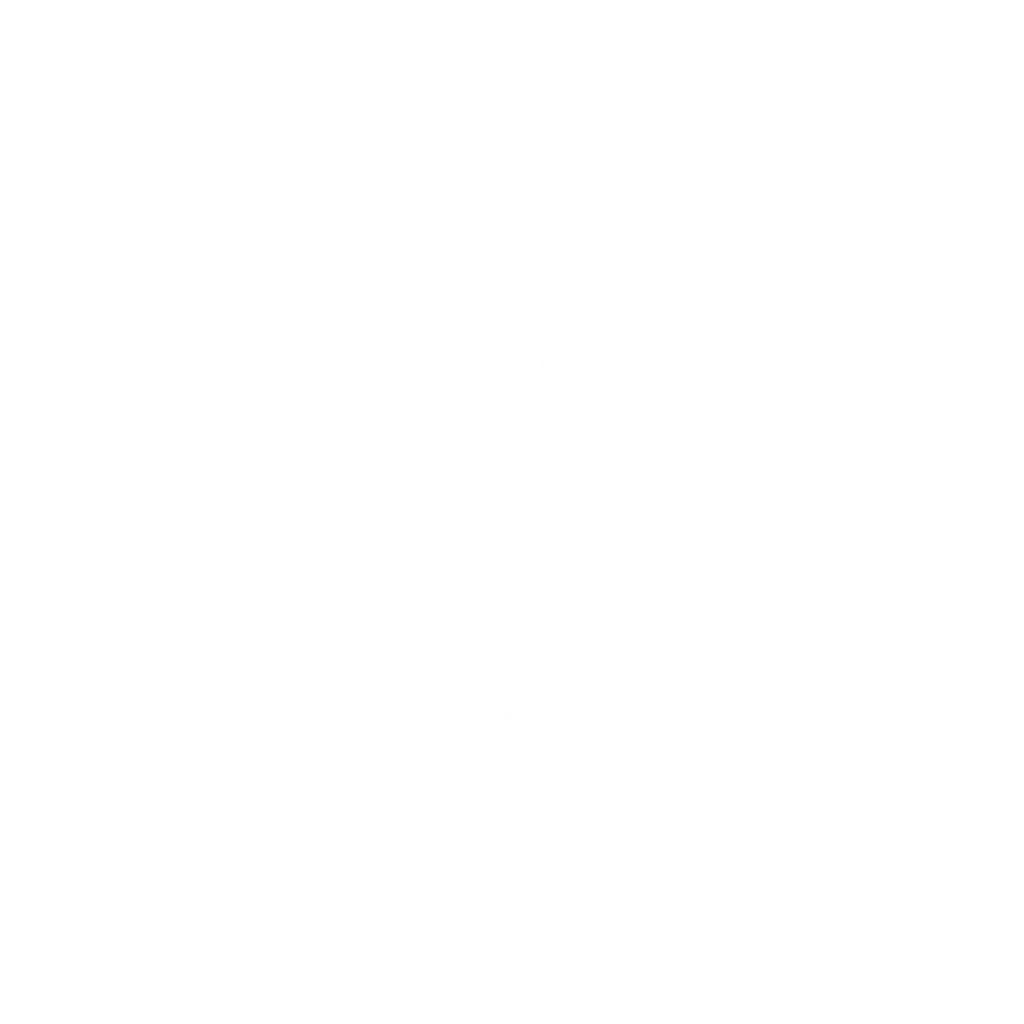 FMF LOGO CARRUSEL