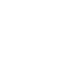 Fever Logo Carrusel