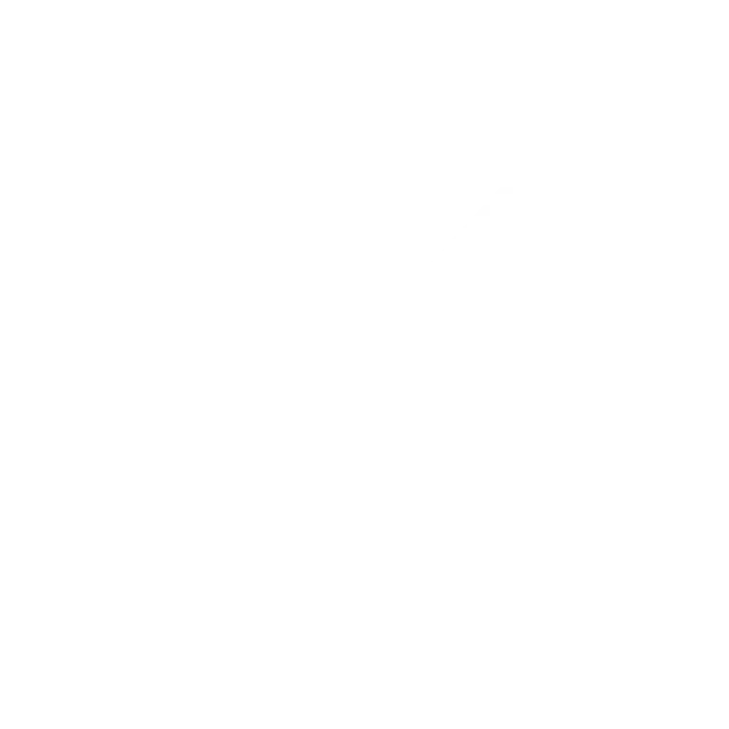 RK Experience