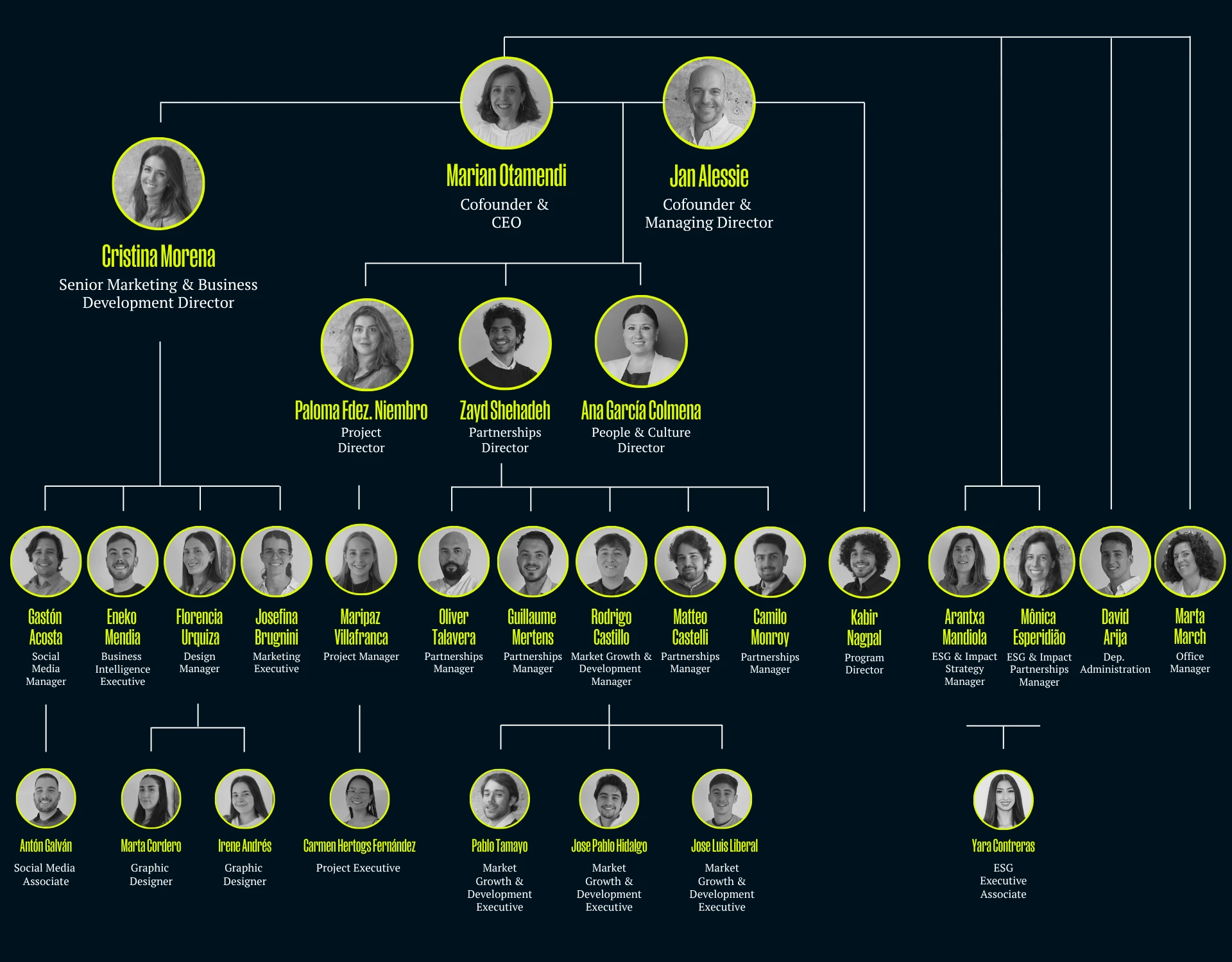 organigrama