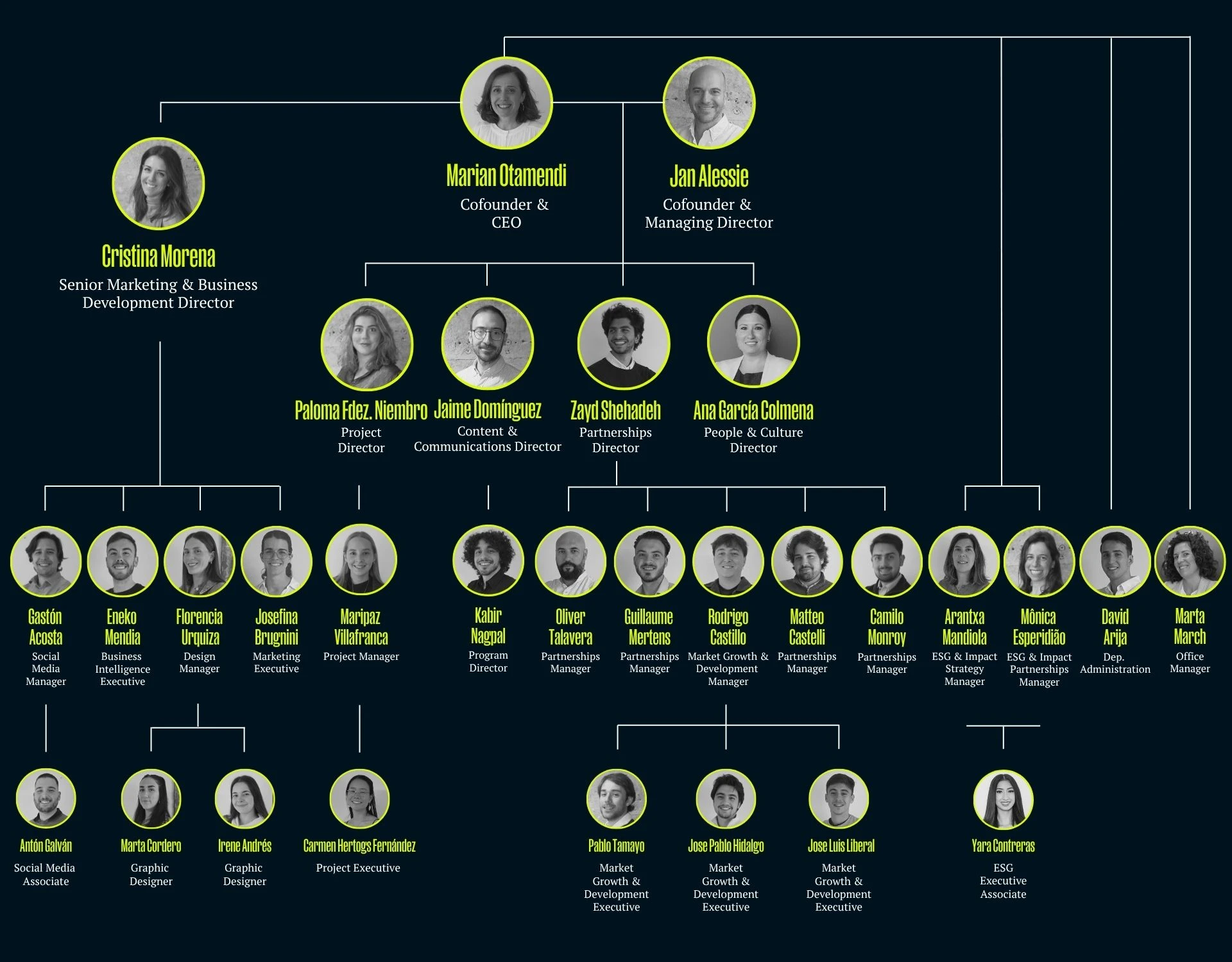 organigrama