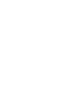 the most inclusive match - logo