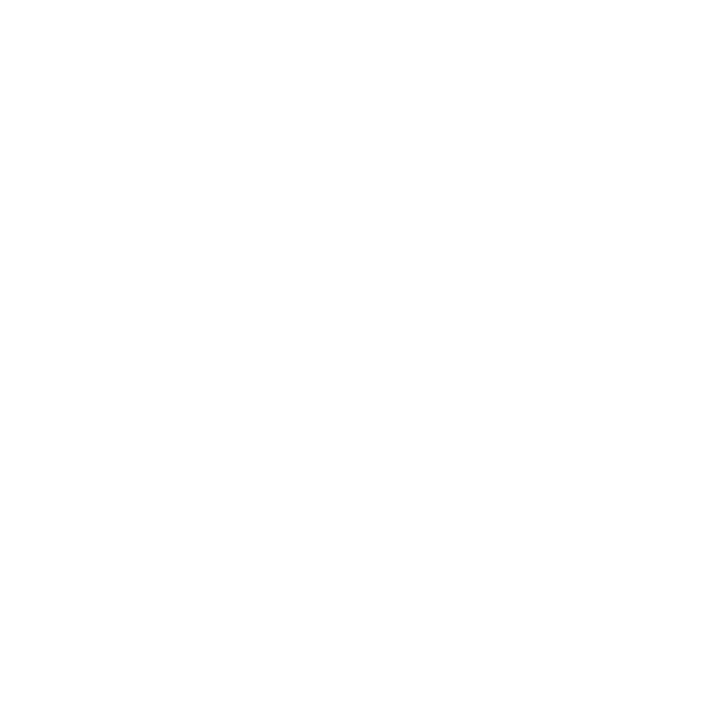 ZYPHR Carrusel