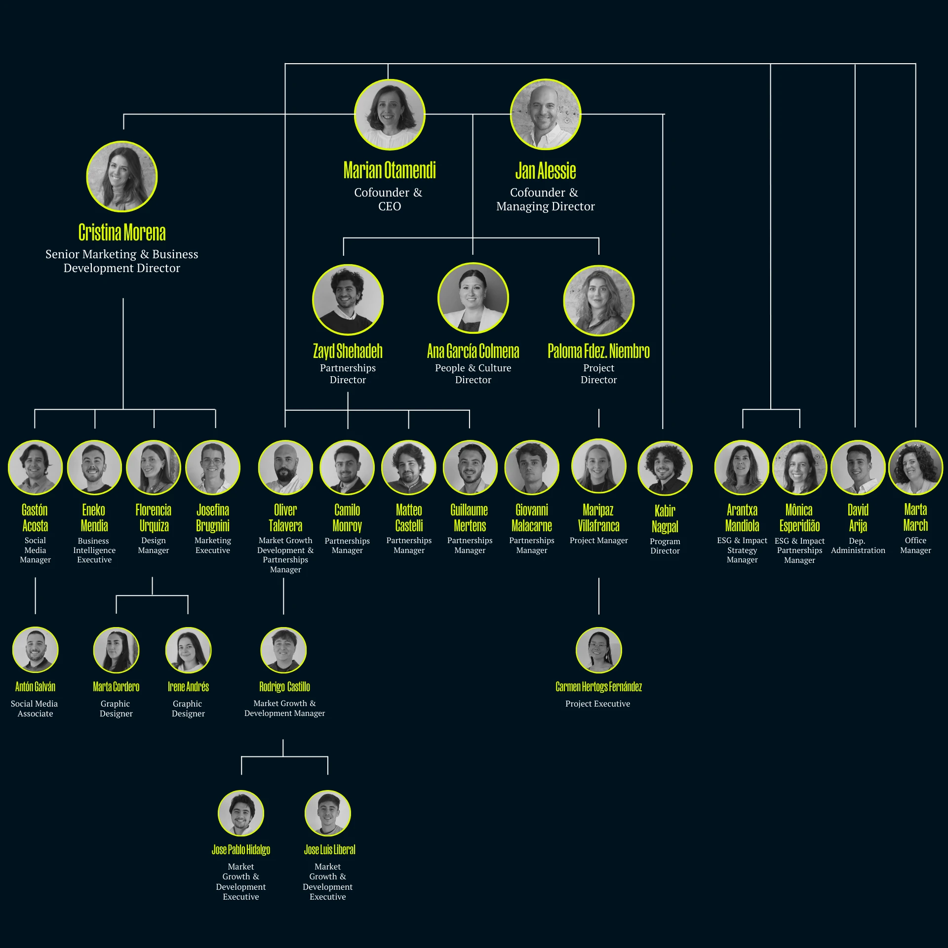 organigram