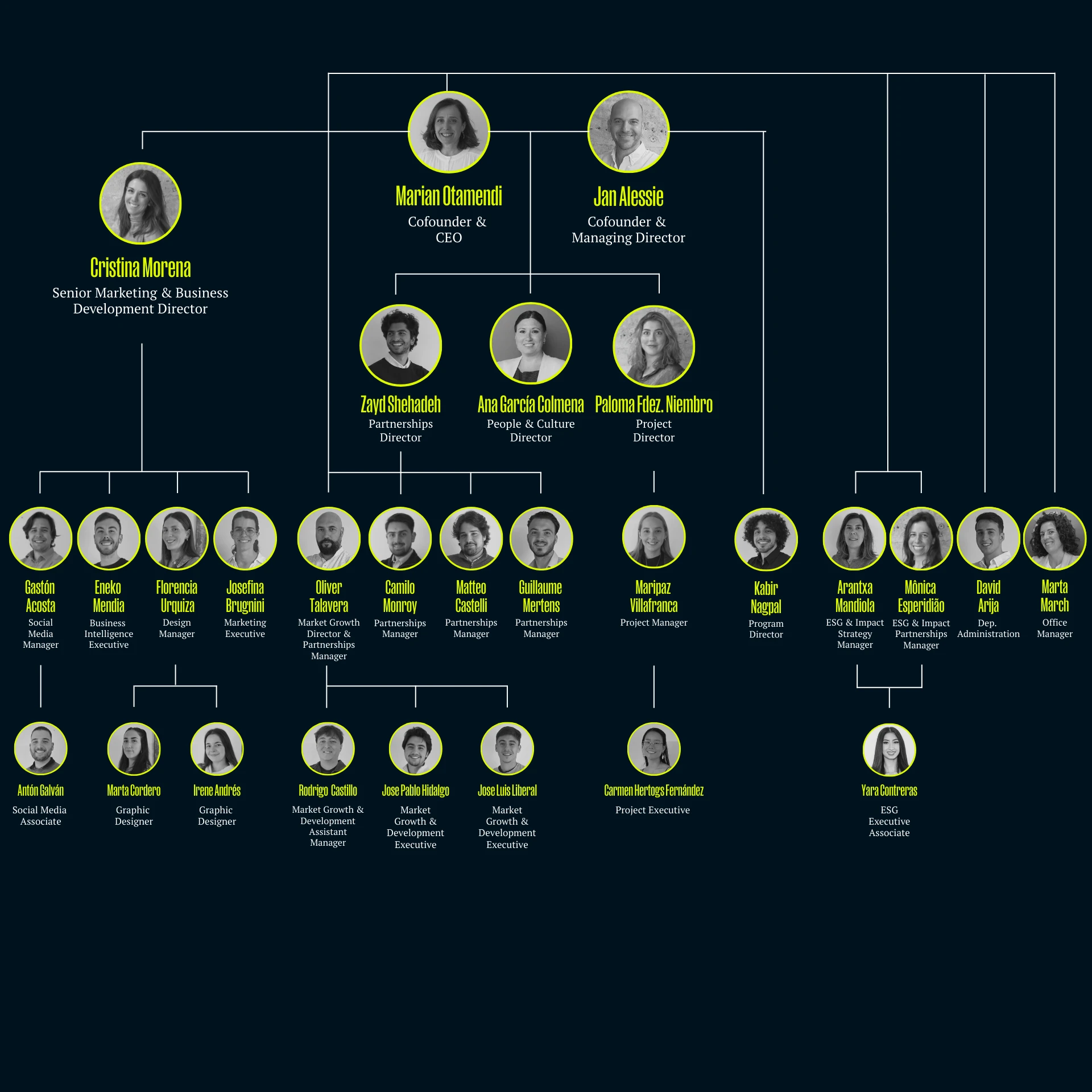 organigrama