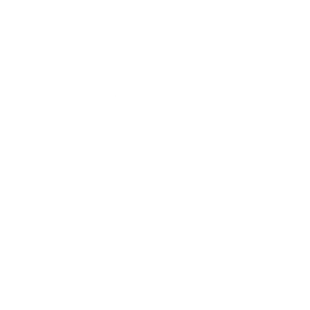 Atalanta 1907 Logo Carrusel