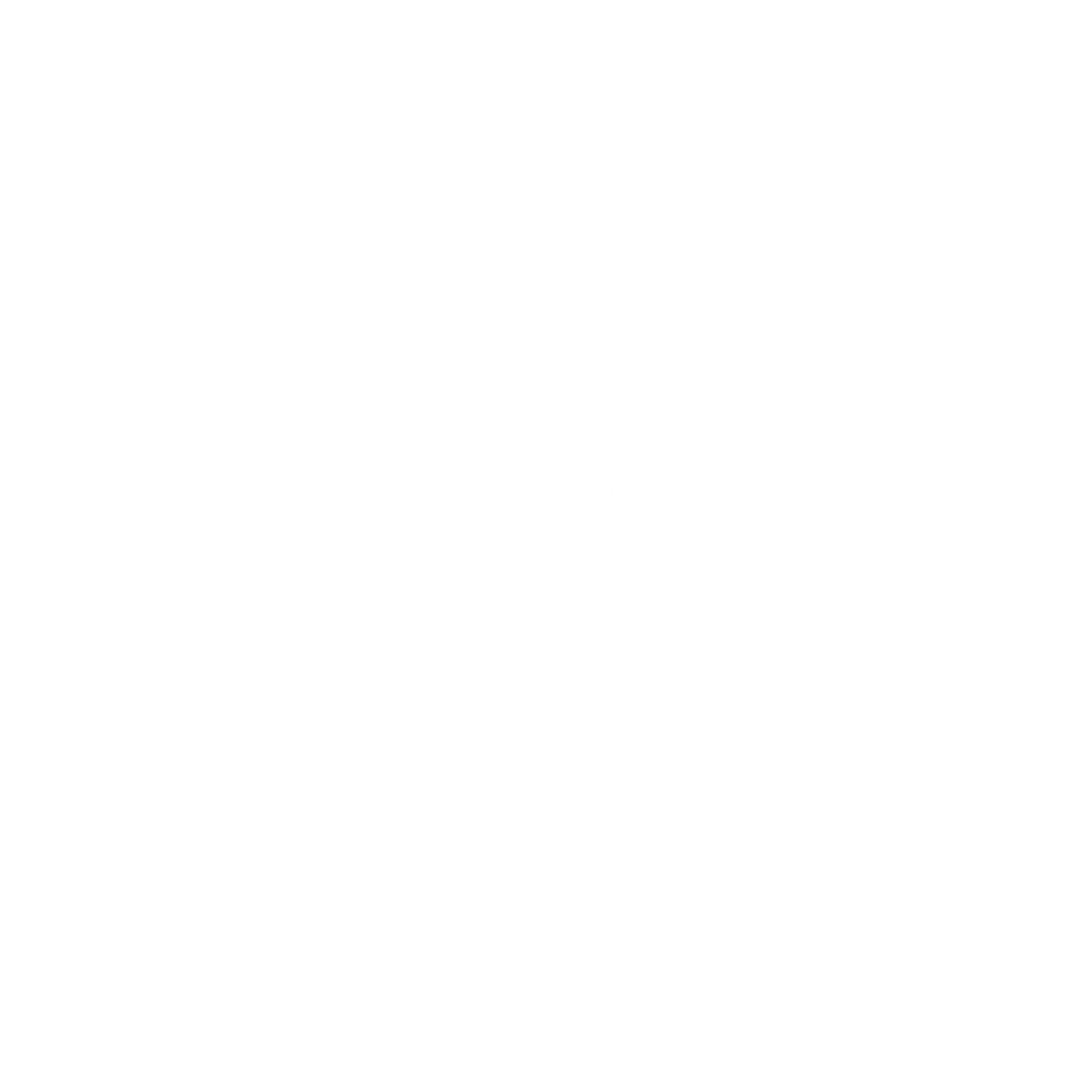 Club Brugge- Carrusel