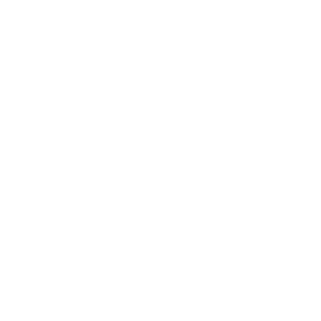 New Balance - Carrusel