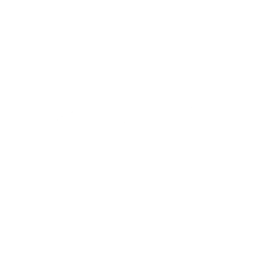 PFC Costa del sol - CARRUSEL