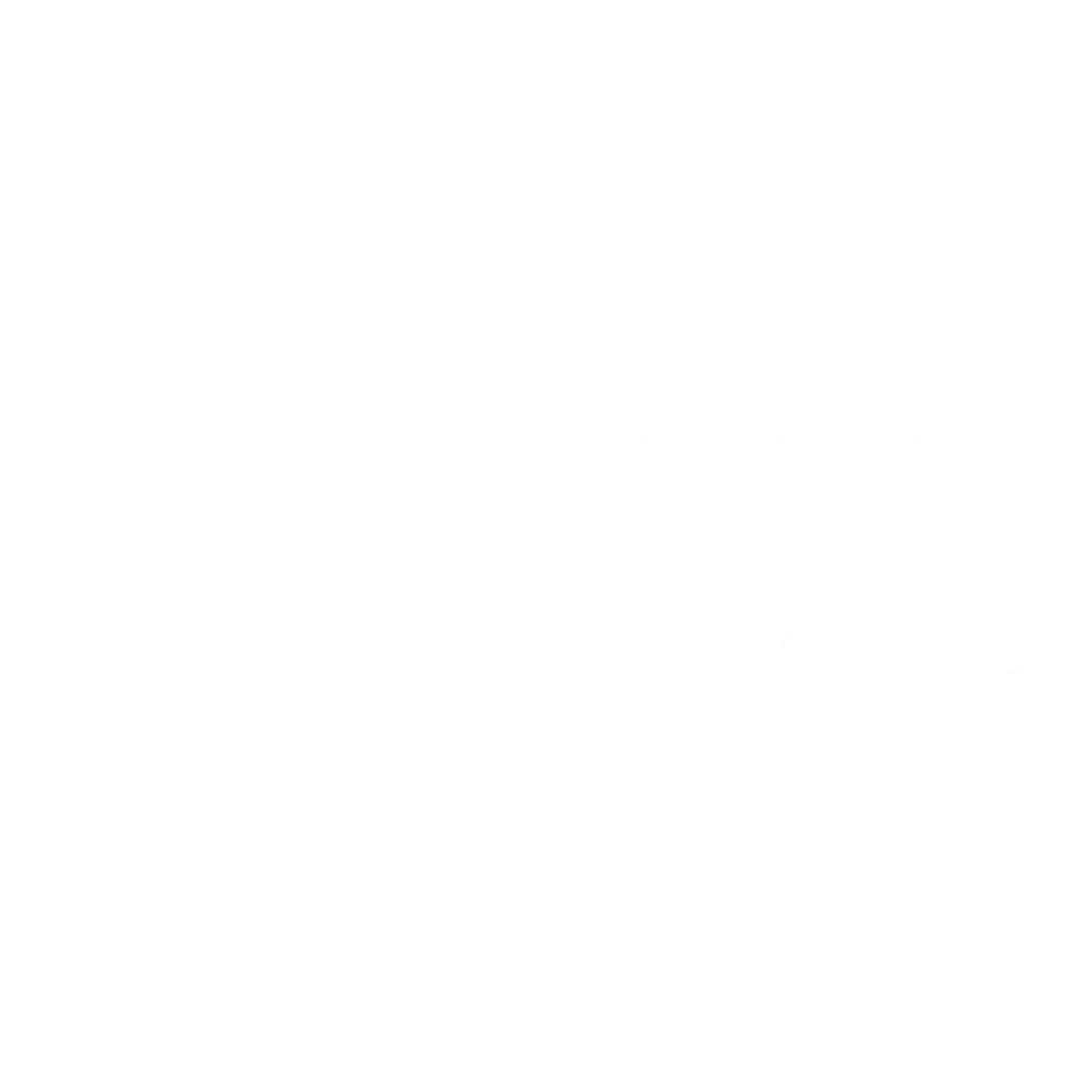 Pioneer- Carrusel