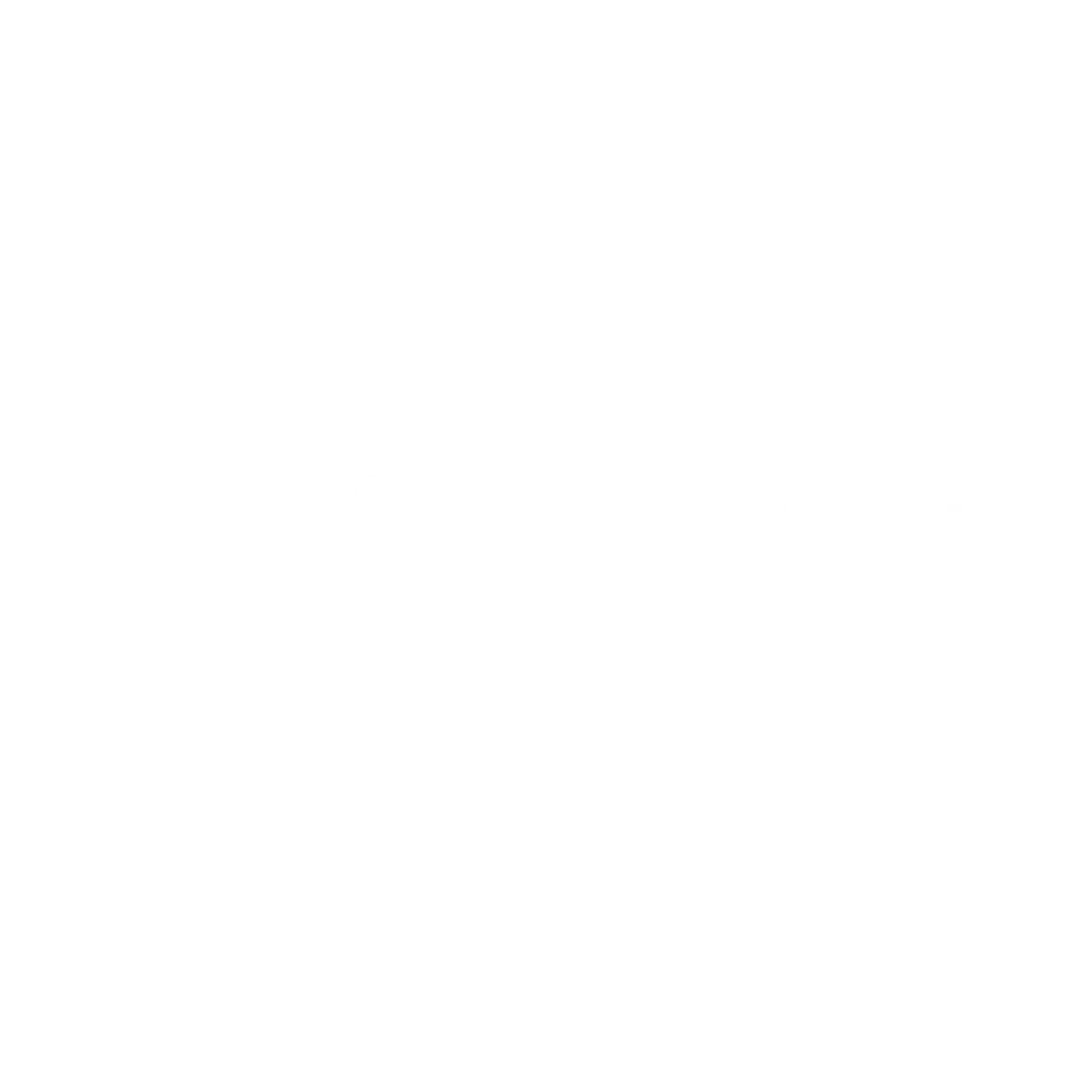 Sportlink- Carrusel