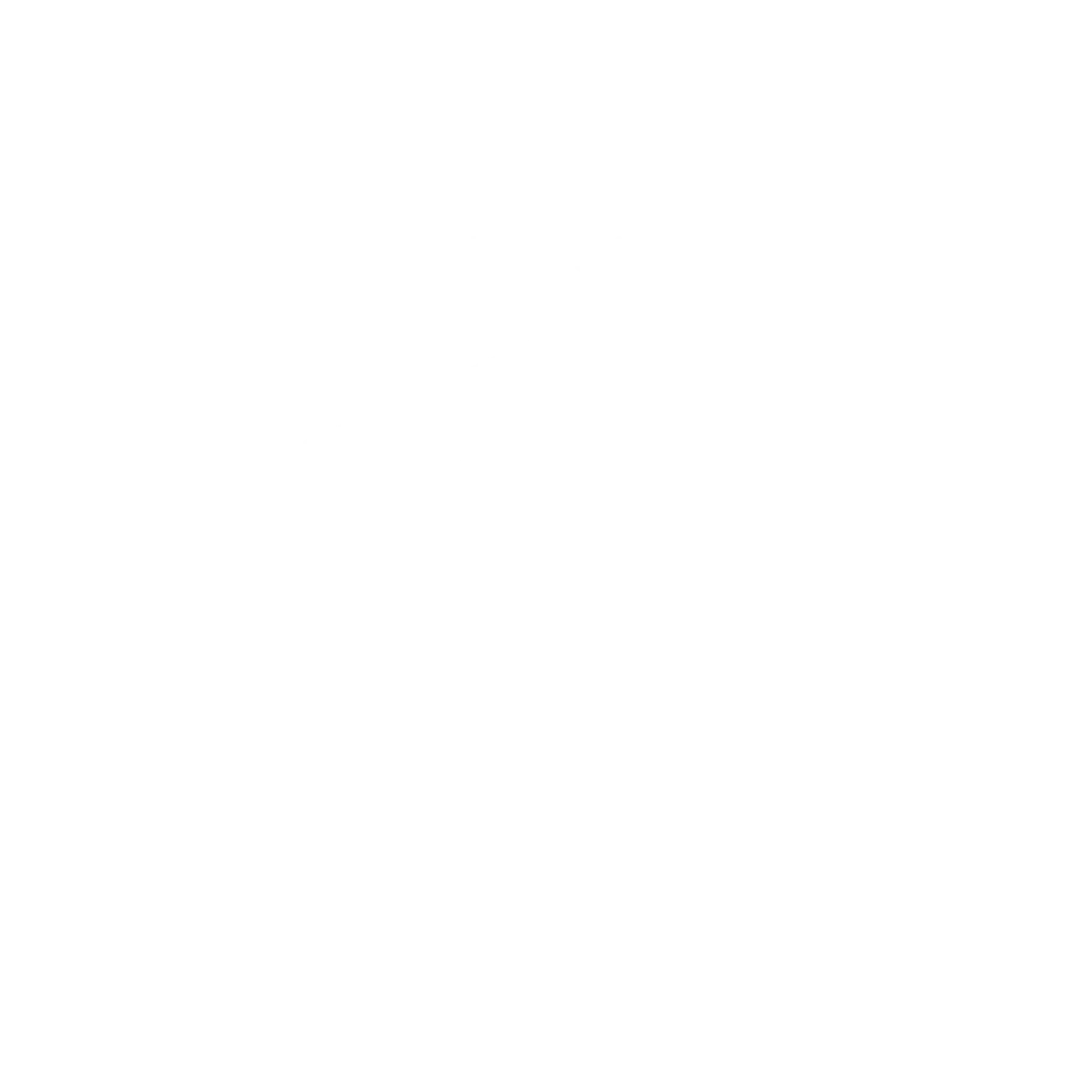 French Football Federation (FFF)
