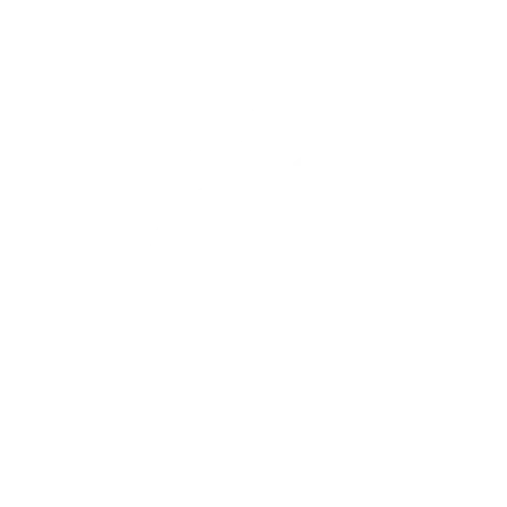 Olympique de Marseille