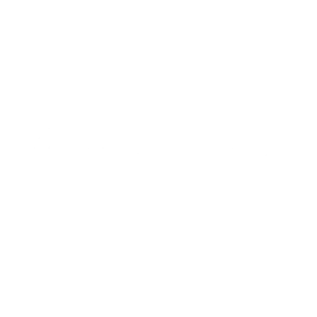 Walt Disney Company